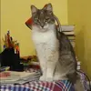 Отзыв от Софья Куликова
